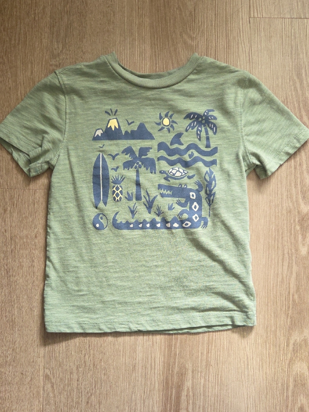 Kids Light Green Short Sleeve Graphic Tee with Navy Island Print